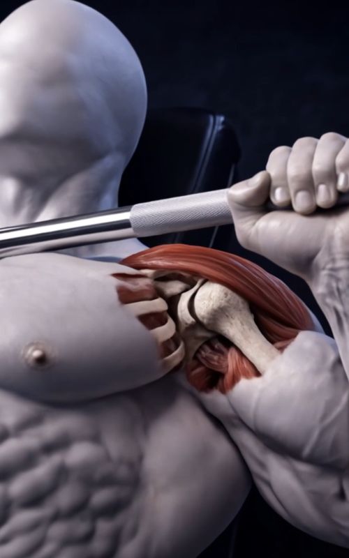 Stop destroying your shoulders on bench. :warning::man-lifting-weights:  Full grip. Better path. More control. #fitonomy #benchpress #shoulderhealth #strengthtraining #gymtips