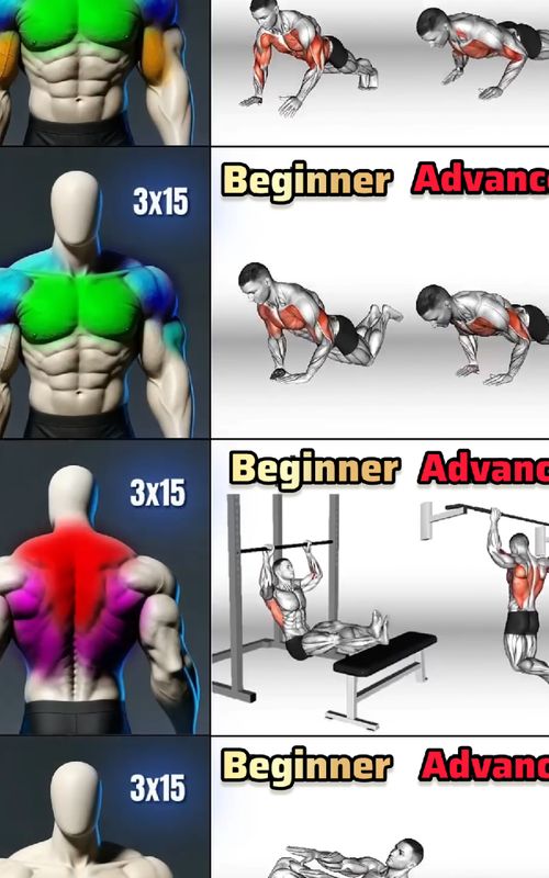 UPPER BODY WORKOUT (Beginner to Advanced) – Build Strength Faster! UPPER BODY WORKOUT — Beginner to Advanced (4 Moves Each) Perfect for building strength, definition, and full upper-body control. All exercises are 3 sets x 15 reps. Rest: 45–60 seconds between sets. --- 🔥 BEGINNER LEVEL (4 Exercises) 1. Regular Push-Up – Chest, shoulders, triceps 2. Decline Push-Up (Hip Lift) – Upper chest, shoulders 3. Australian Pull-Up – Back, biceps, rear delts 4. Basic Crunch – Abs, core stability --- 🔥 ADVANCED LEVEL (4 Exercises) 1. One-Arm Push-Up – Chest, triceps, core, unilateral control 2. Explosive Push-Up – Chest, shoulders, power 3. Kneeling Pull-Up (Weighted/Explosive) – Lats, upper back, biceps 4. Bicycle Crunch – Entire core, obliques --- ⚡ Workout Goal Train for yourself, not to beat others. Focus on form, slow control, and progressive overload. Stronger every week — inside and outside. #upperbodyworkout #homeworkout #calisthenics #strengthtraining  #workout 