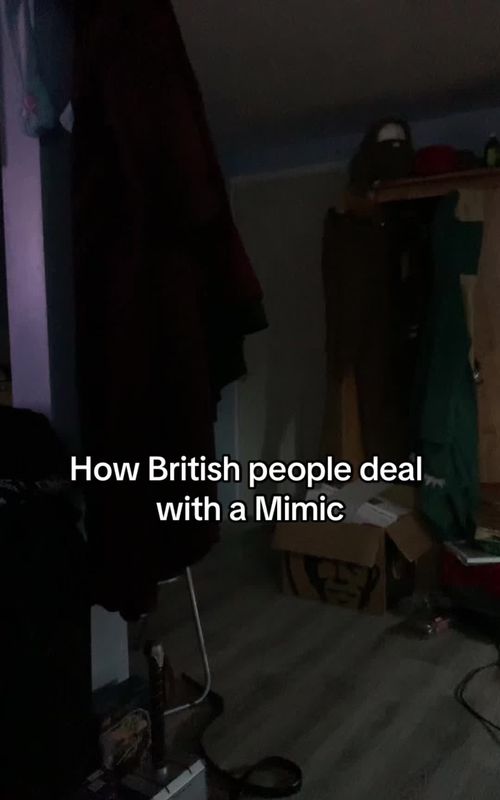 It’s true what they say about answering a mimic. #random #comedy #randomcomedy #mimic #mimicclips #parody #meme #britishhumour #british #foryoupage 