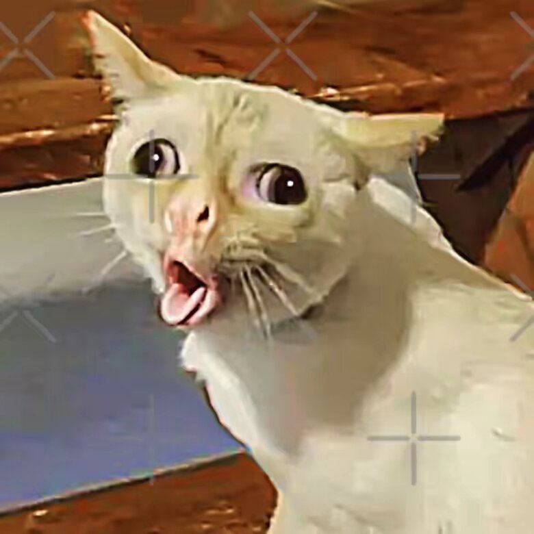 Funnyvideos