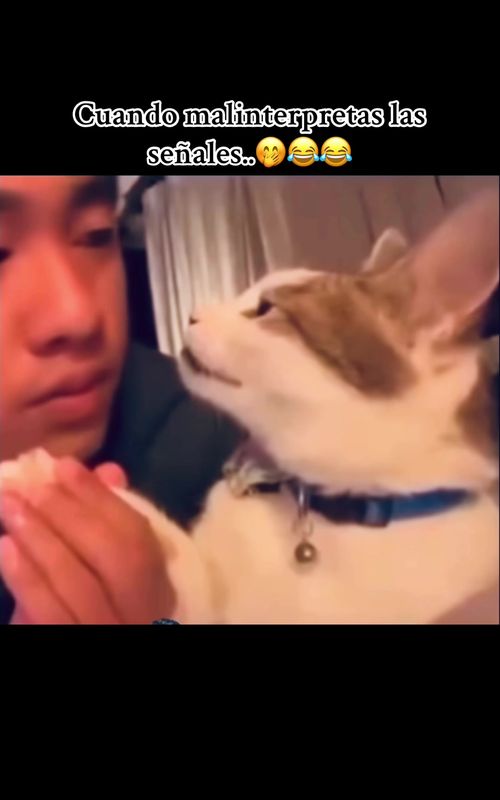 Sígueme 👊🤣🤣🤣 #humor #chistes #risas #memes #viral #parati #fypシ #tiktok #fyp #reels 