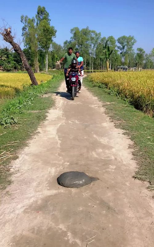 Funny 🤣😁 follow me Funny #foryou #foryou #funny #video #video 