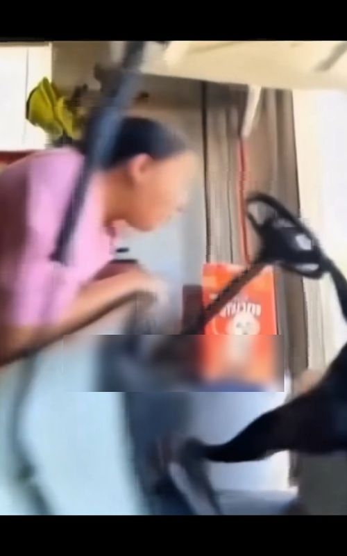 funniest video saw on internet today 😂😂 #cat #funny #meme #funnycat 