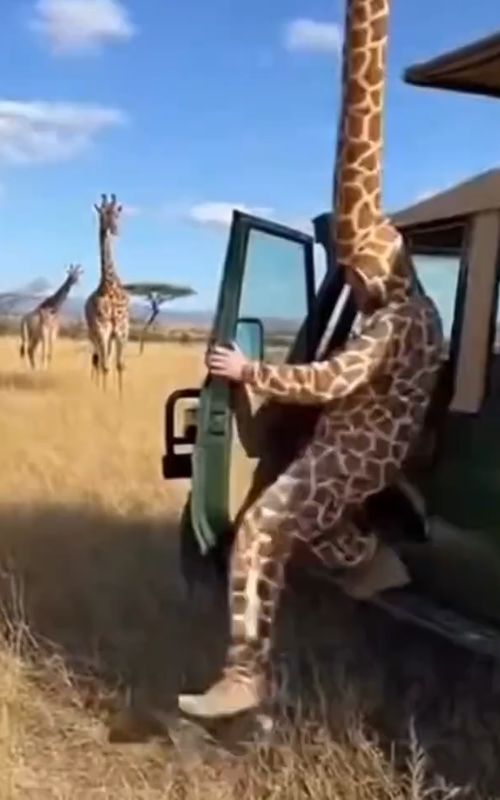 “Even the Real Animals Got Confused 😭🐾”so funny😂😂😂😝😝😝🤣🤣🤣….. #funnyanimals #prank #funnyvideos #animalprank #humans