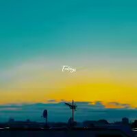 Feelings