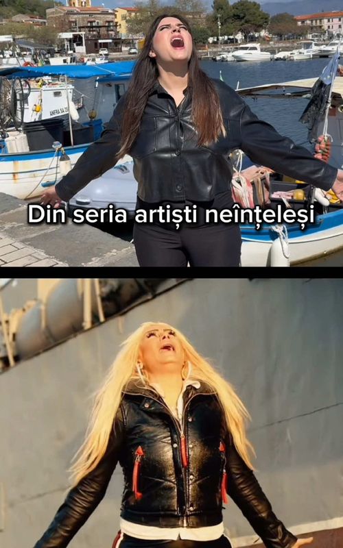 Din noua serie, artiști neînțeleși😂 #amuzant #parodie #funny 