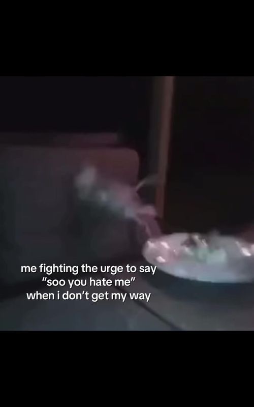 ᗢ the sound of the silverware 😭 | #funny #fyp #meme #friends #foryoupage 
