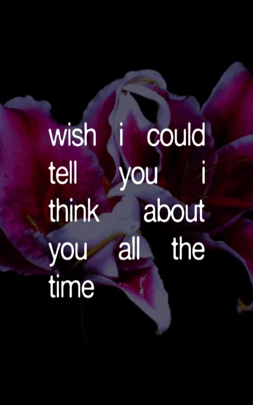 ANOTHER HOLY BELLA KAY BRIDGE #bellakay #promise #newmusic #lyrics #iloveitiloveitiloveit 