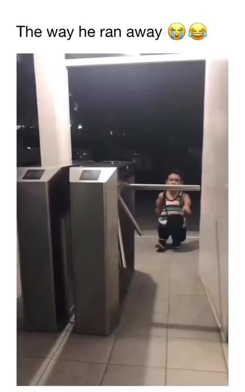 video funny & cute  #funnyvideos #meme #cute #fyp #viral #humor #usa 
