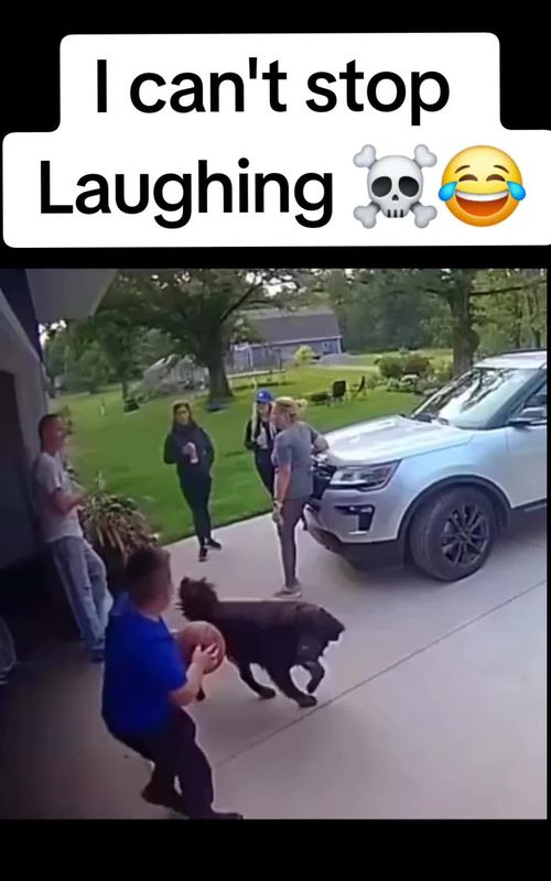 #ViralBlitz #ViralBlitzRealm #fyp #fypシ゚viral #viralvideo #viraltiktok #fypツ #funny #funnyvideos #funnymoments  #funnytiktok 