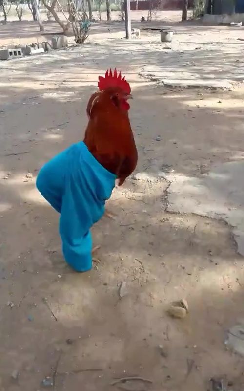 #funny #usa #foruourpage #prank #funnyvideo 