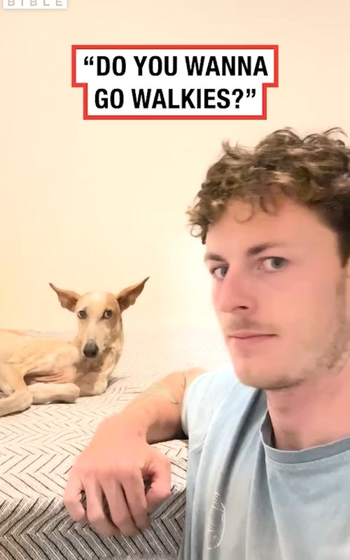 The facial expressions 🤣⁠⁠ (🎥: @lifelikecharlie) #dogs #funnymoments #pets