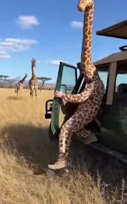 “Even the Real Animals Got Confused 😭🐾”so funny😂😂😂😝😝😝🤣🤣🤣….. #funnyanimals #prank #funnyvideos #animalprank #humans 