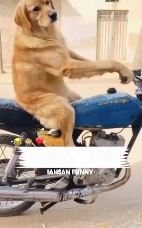 Funny video prank 😂 #comedyindia #foryou #foryoupage #funny #trickmaster_khan 