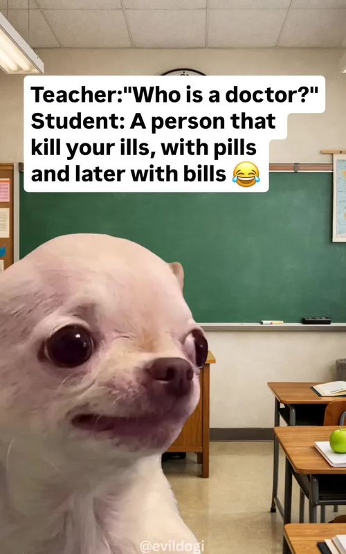 😂 Daily evil & hilarious memes 🐶 EVIL DOG — Official Meme Page 😈 Dark humor | sarkasm 🛒 EVIL DOG clothing & merch ⬇️ Shop via link in my bio ➡️ evildogofficial.com