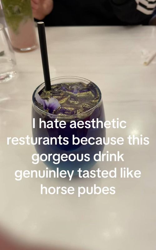 And the chicken had unicorn shit drizzled ontop for some reason #satire #joke #cringe #fyp #xybca 