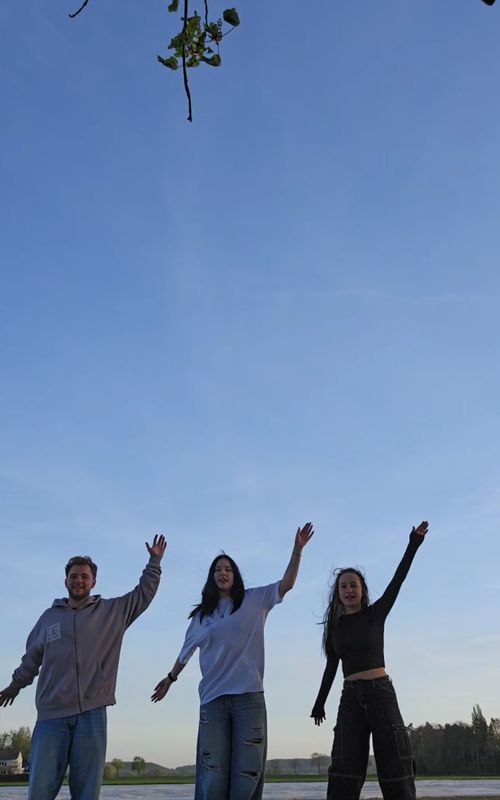 🌅🌅 #airplanes #dance #trends #friends #sunset 