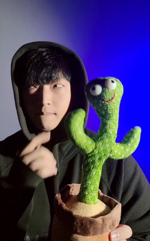 Cactus vs Beatbox #beatboxchallenge #fyp #추천