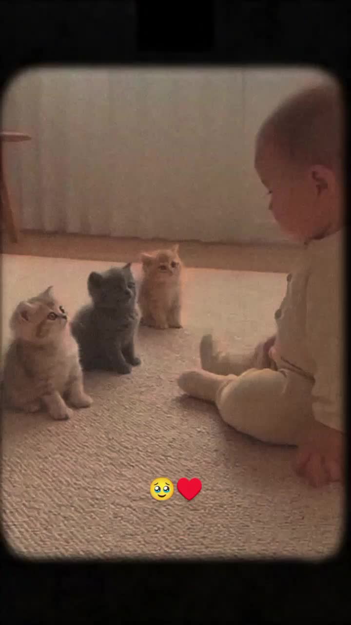 🥺❤️#Love #viral #1millionaudition #clips #trending 