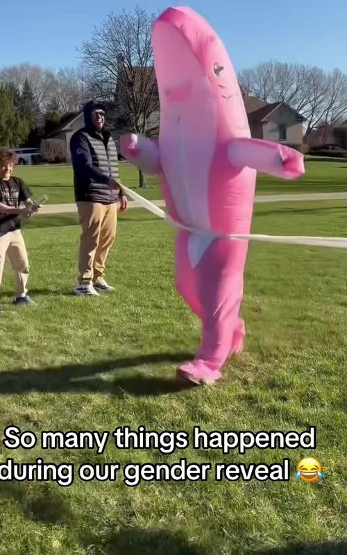 Wait for it 😭 (via whoaah_dude_aq/IG) #genderreveal #funny #fail