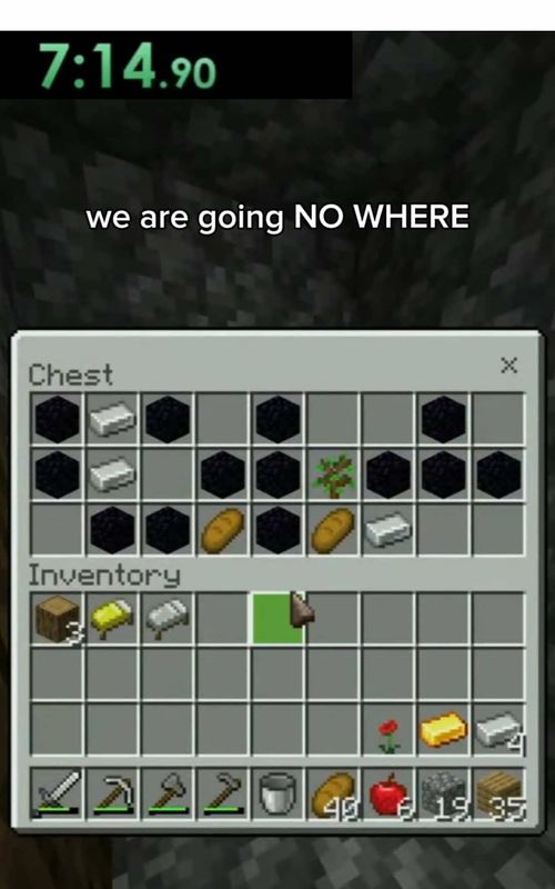twitch.tv/nnnavora #viral #professional #minecraftspeedrun #nnnavora 