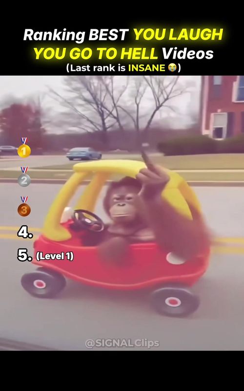 Which level got you? 😂👉 #viral #comedy #funny #trynottolaugh #fyp 