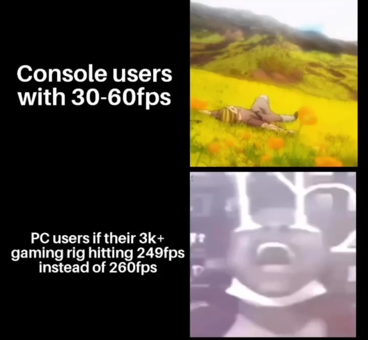 Pc gamers be like: