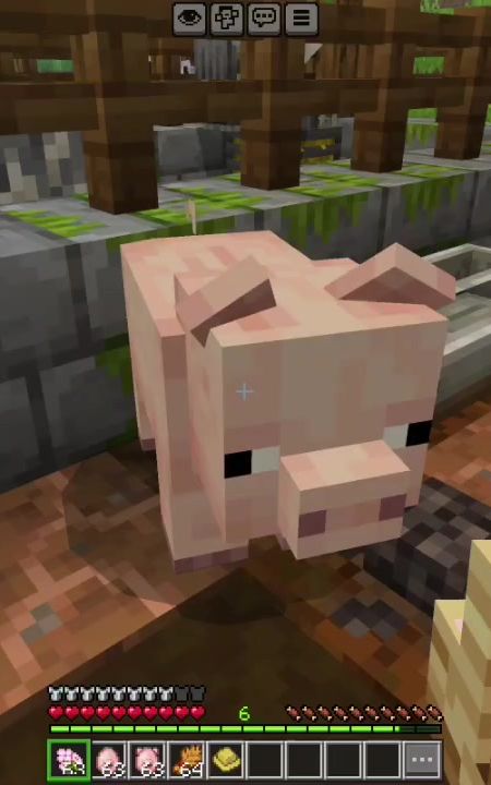 A Day with me at the Farm! 🐖🐤🧑‍🌾 ₊˚⊹ᰔ 𑣲tags ; #Minecraft #minecraftbedrock #minecraftmemes #minecraftbuilding #fyppppppppppppppppppppppp 