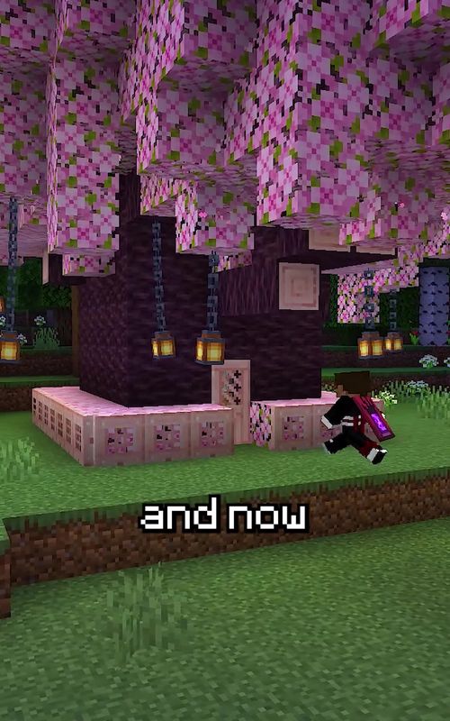 fastest way to build a cozy house in minecraft #Minecraft #hypecraft #fyp #fyr #on 
