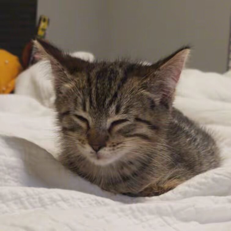 BubbynAmira