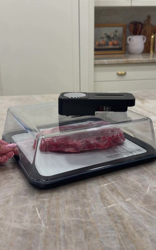 The ultimate busy (forgetful) mom hack! Meat thaws in less then 20 minutes 🥩✨ #easydinnerideas #busymomhacks #kitchengadgets #amazonkitchenfinds #amazonbestseller 