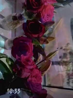 #roses #goviral #trending #fyp #flowers 