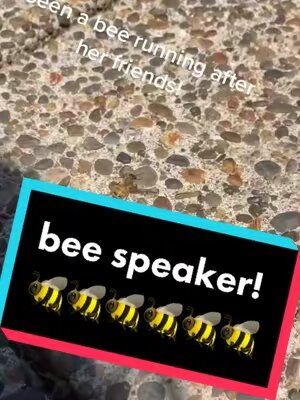 #bee #beespeaker #DontSpillChallenge #fypシ #GossipGirlHere #foryoupage #foryou #solocup #bugs #life #hiemlich #🐝  #bumblebee
