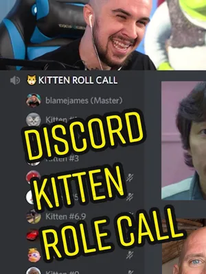 kitten role call (i.b: @Kelv ) #fypシ #gaming #discord #streamer #twitch