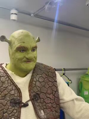 Swamp feeling themselves  🍄🪵 #fypシ #fypシ゚viral #shrek #shrekisloveshrekislife #westend #broadway #musical #musicaltheatre #donkey 