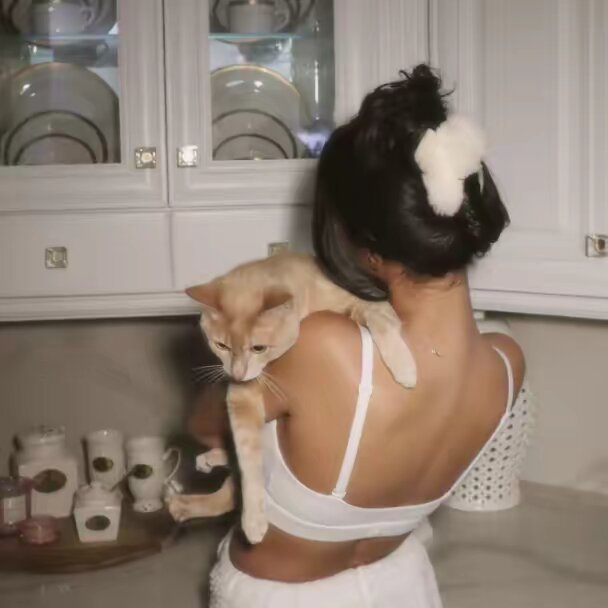kitty