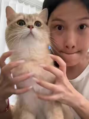 🥰🥰🥰💋💋💋🥴#kitty #cat #catsoftiktok #foryou #fyp 