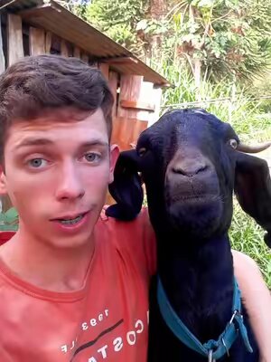 meu anjinho #videoviral #fyp 