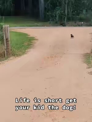 Dachshund’s are a girls best friend🫶🏻 #dacshundsoftiktok #dachshund #wienerdog #daughter #prek #afterschoolroutine #fyp #heartwarming #love #viral #cutenessoverloaded 