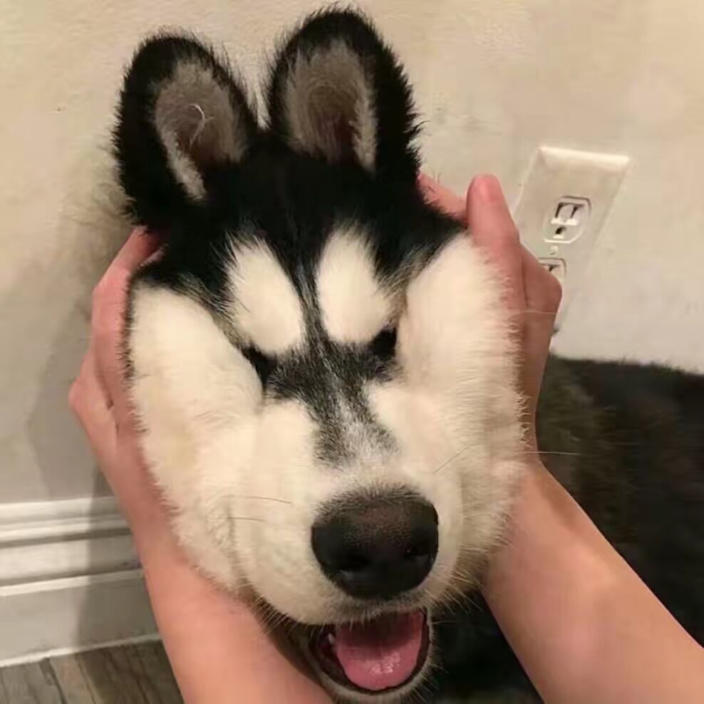 babyfunnylife123
