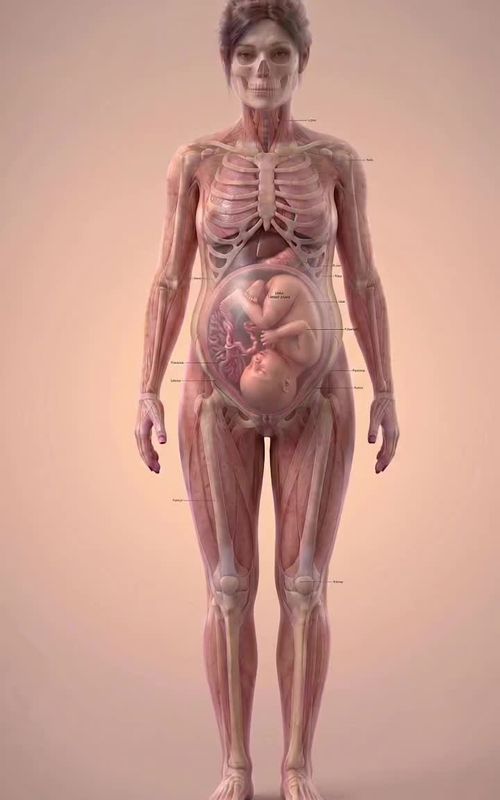 Pregnancy Week 31 - Strong Pressure, Sleep Cycles & Big Changes! At 31 weeks pregnant, your baby is growing quickly and getting closer to being ready for life outside the womb. With stronger movements, developing sleep cycles, and maturing lungs, this stage is full of important milestones. In this video, we break down everything happening during week 31 in a simple, visual, and engaging way. ✨ In this video: • Baby size and weight at 31 weeks • Brain development and neural connections • Sleep cycles and possible dreaming • Stronger movements and reduced space • Lung development nearing completion • Common third trimester symptoms You’re now in the final stretch — every week brings you closer to meeting your baby ❤️ #31WeeksPregnant #ThirdTrimester #PregnancyJourney #BabyDevelopment #PregnancyUpdate #MomToBe #FetalDevelopment #PregnancyLife #ExpectingMom #PregnancyWeekByWeek #BabyGrowth #MomLife #PregnancyTips #ViralReels #PregnancyVideo