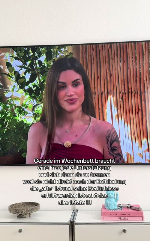 Viele verstehen nicht das eine Frau soviel durchmacht während der Schwangerschaft. Sie erschafft Leben und kann nicht noch an das eine Denken wenn ihr nicht danach ist 🙈🙈 #prominentgetrennt #trashtv #redflag #rebeccaundgök #alekspetrovic 