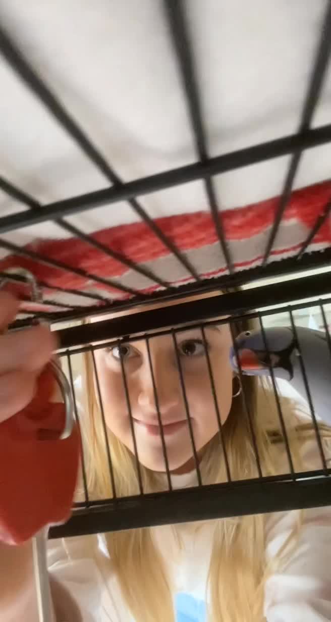 Caught this gem while filming our first Vlog today, little dude gets very excited about his daily snack 😂 #bird #australia #fyp #whatdoing #hamlet