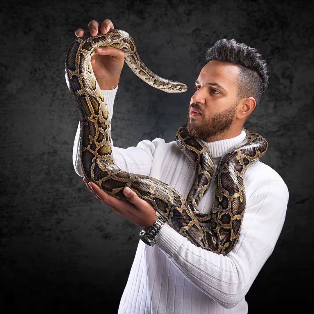 رامز عايش