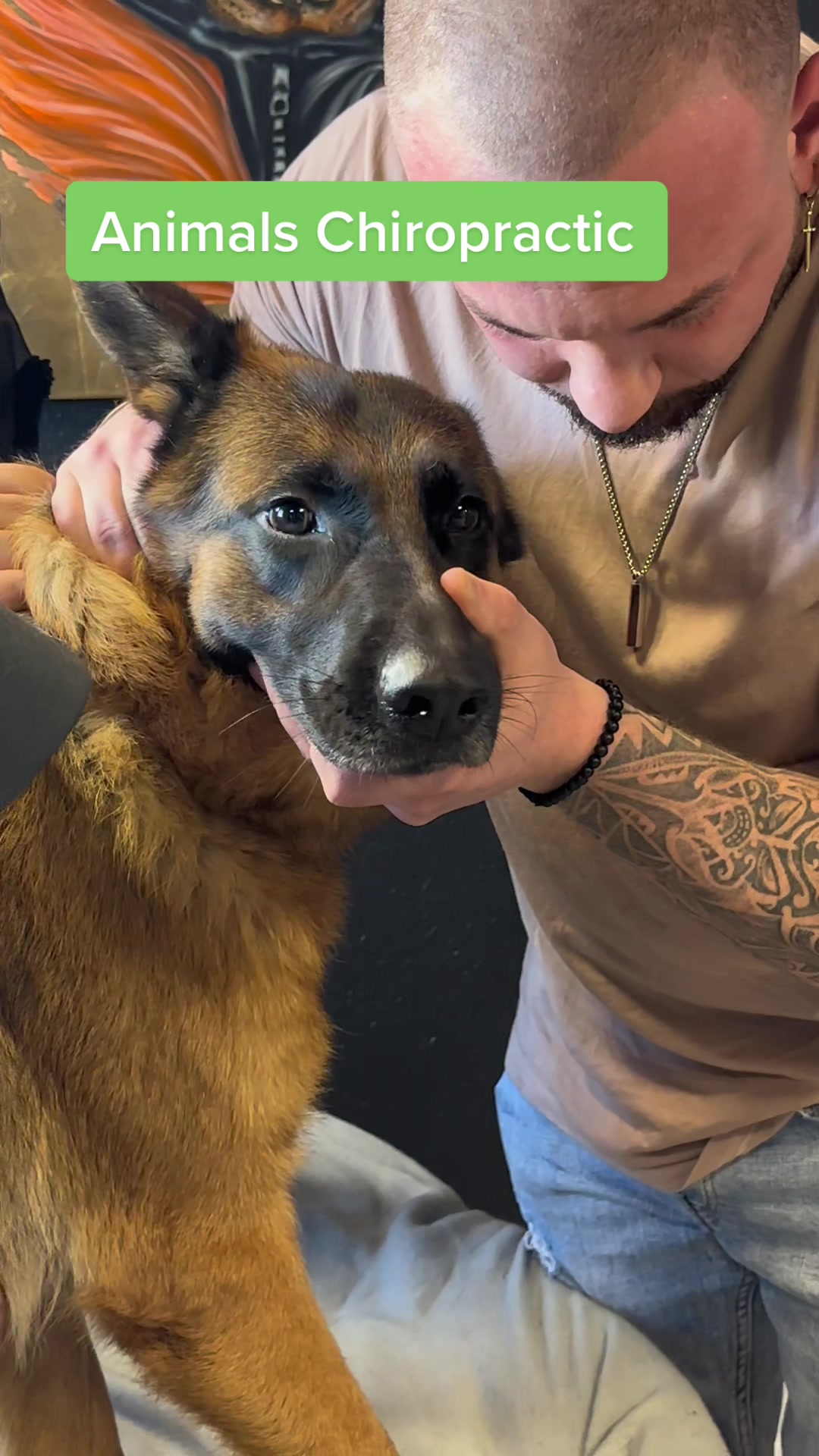 #chiropractic #foryou #chiropractortiktok #tiktokusa #köln #nrw #dogsoftiktok #viral 