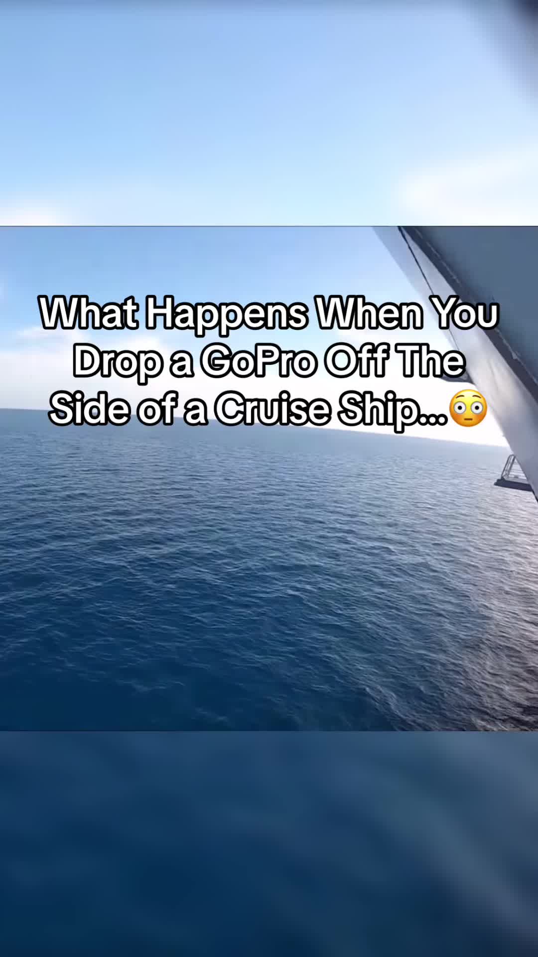 Did you see the creature at the end? | #fyp #northsea #ocean #real #cruiseship #scary #viral 