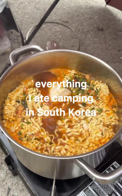 I ate SO good😭⛺️🌲 Hope you’re having the best spring!! Sending you lots of love and positive energy💕🌸 #koreancamping #familyvlog #kbbq #koreanfood #whatieatinaday 