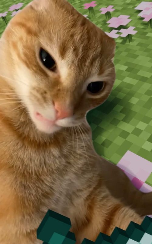original: @Emily - edit: me #MineCraft #cat #fyp #memestiktok #funnytiktok 