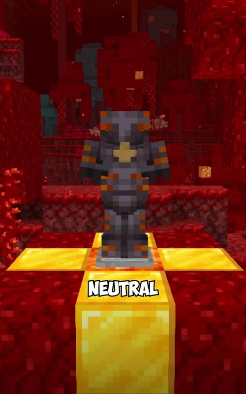 If Armor Trims Were Actually Useful   #minecraftpartner #Minecraft 