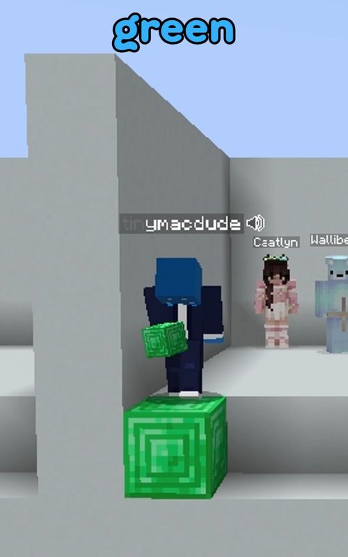 in disbelief #Minecraft #colormatch #minecraftmemes #gaming #cheappickle